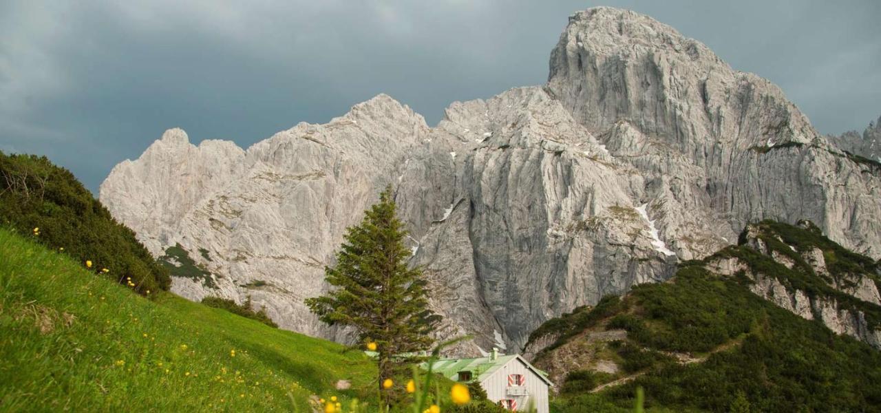 Hotel Sonne St. Johann in Tirol Eksteriør billede
